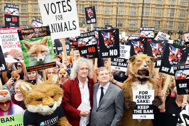 Brian May joins SNP MP Angus Robertson and anti-foxhunting protesters outside the Houses of Parliament 
