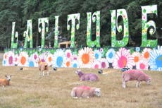 Why the Latitude Festival 2015 is ideal for students