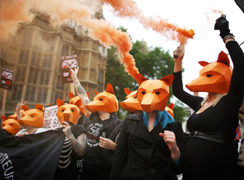 Anti-foxhunting protesters let off flares outside the Houses of Parliament