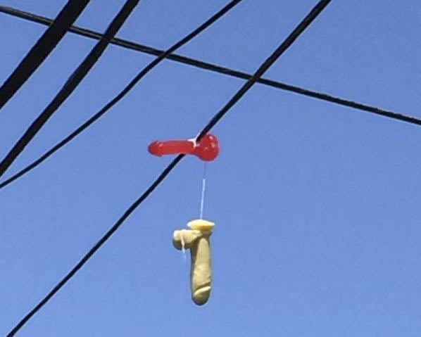Sex toys have appeared on power lines in Portland, Oregon