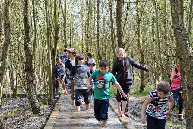 Barefoot walk at Conkers