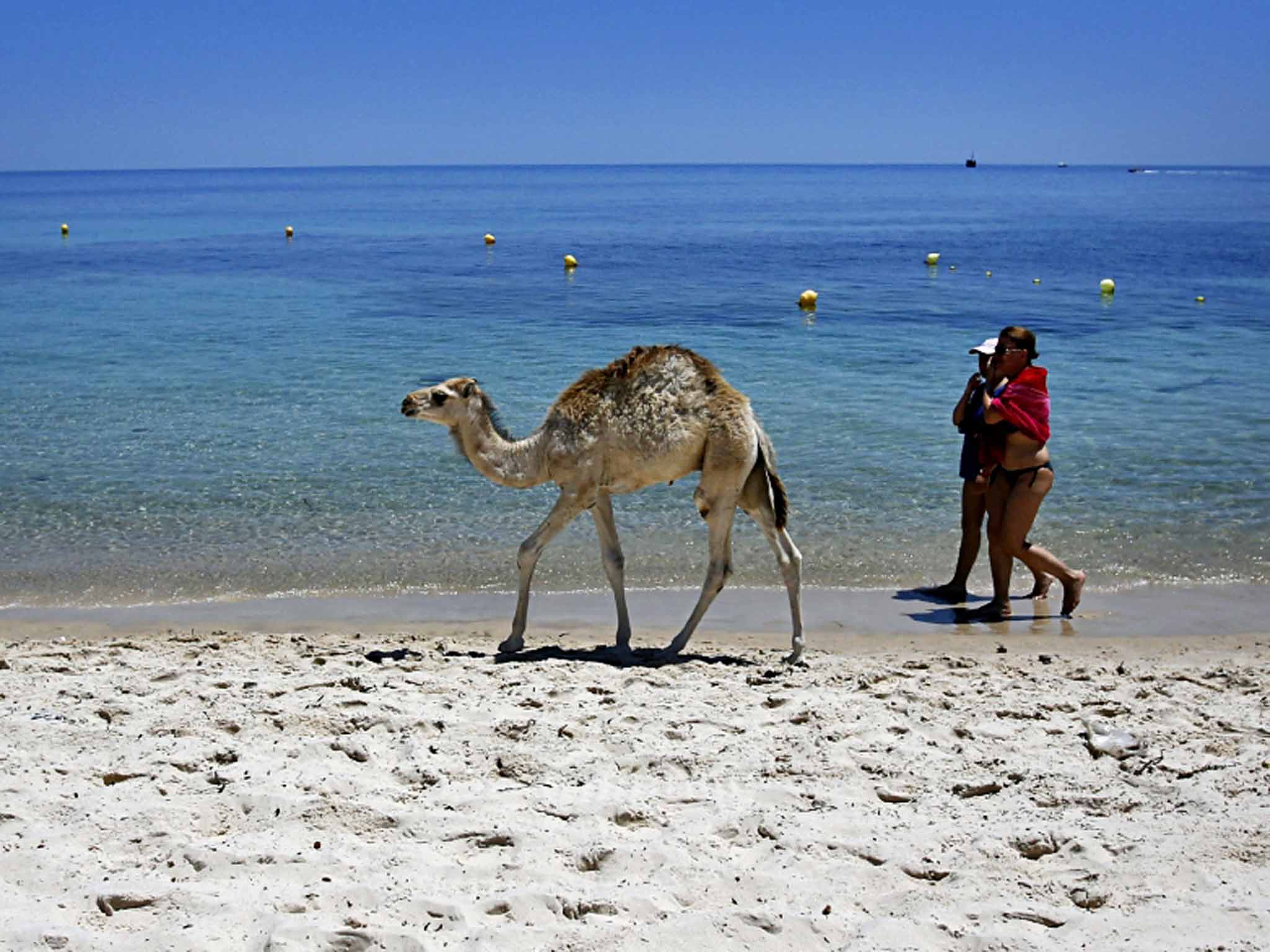 Footprints in the sand: Tunisia's economy relies on tourism