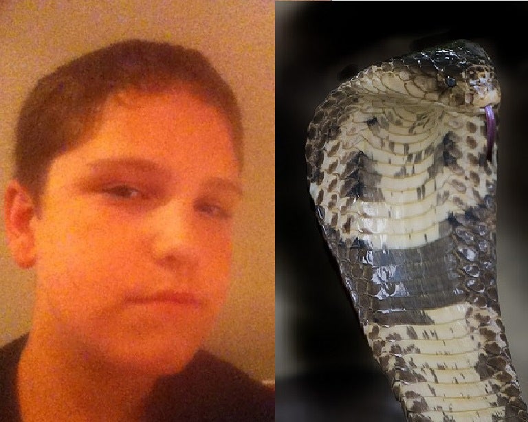 Grant Thompson (L) was alleged killed by a bite from a monocled cobra (R)