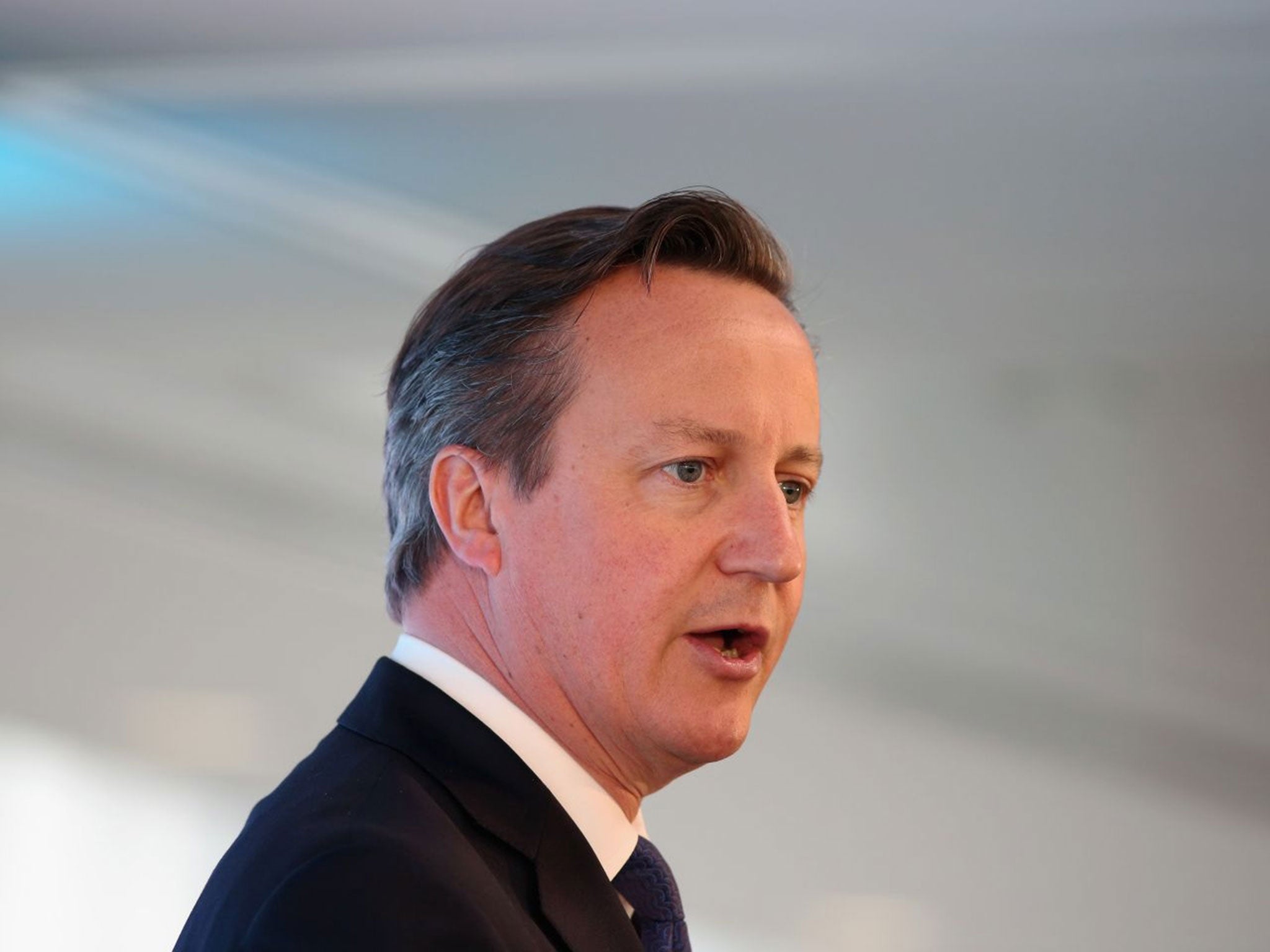 David Cameron has pledged to help the US defeat Isis