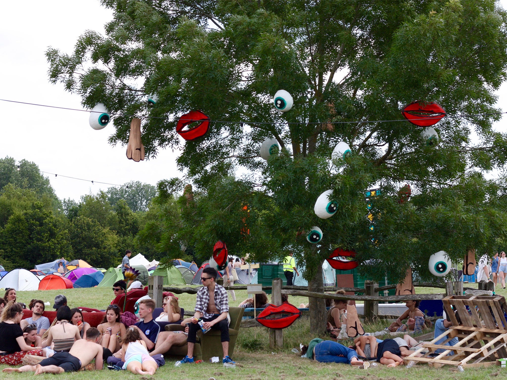 Festival-goers gather under Josie Tucker's tree