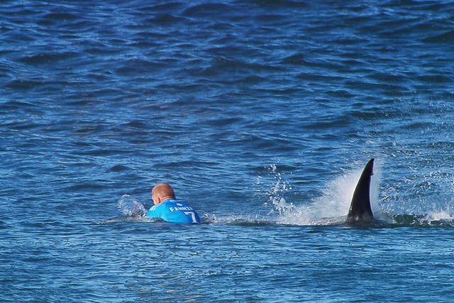 Mick Fanning escaped from a shark in the final round of the JBay Open surfing event 