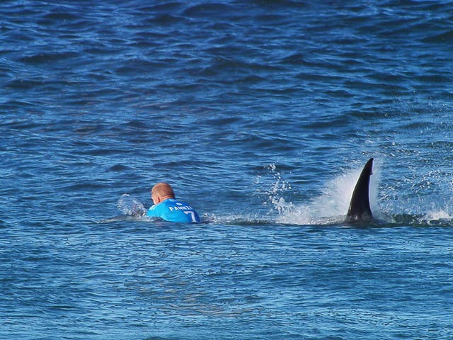 Mick Fanning escaped from a shark in the final round of the JBay Open surfing event 