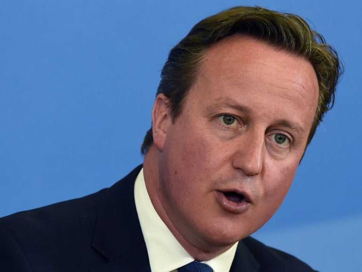 David Cameron's security: The people who protect the Prime Minister -  Mirror Online