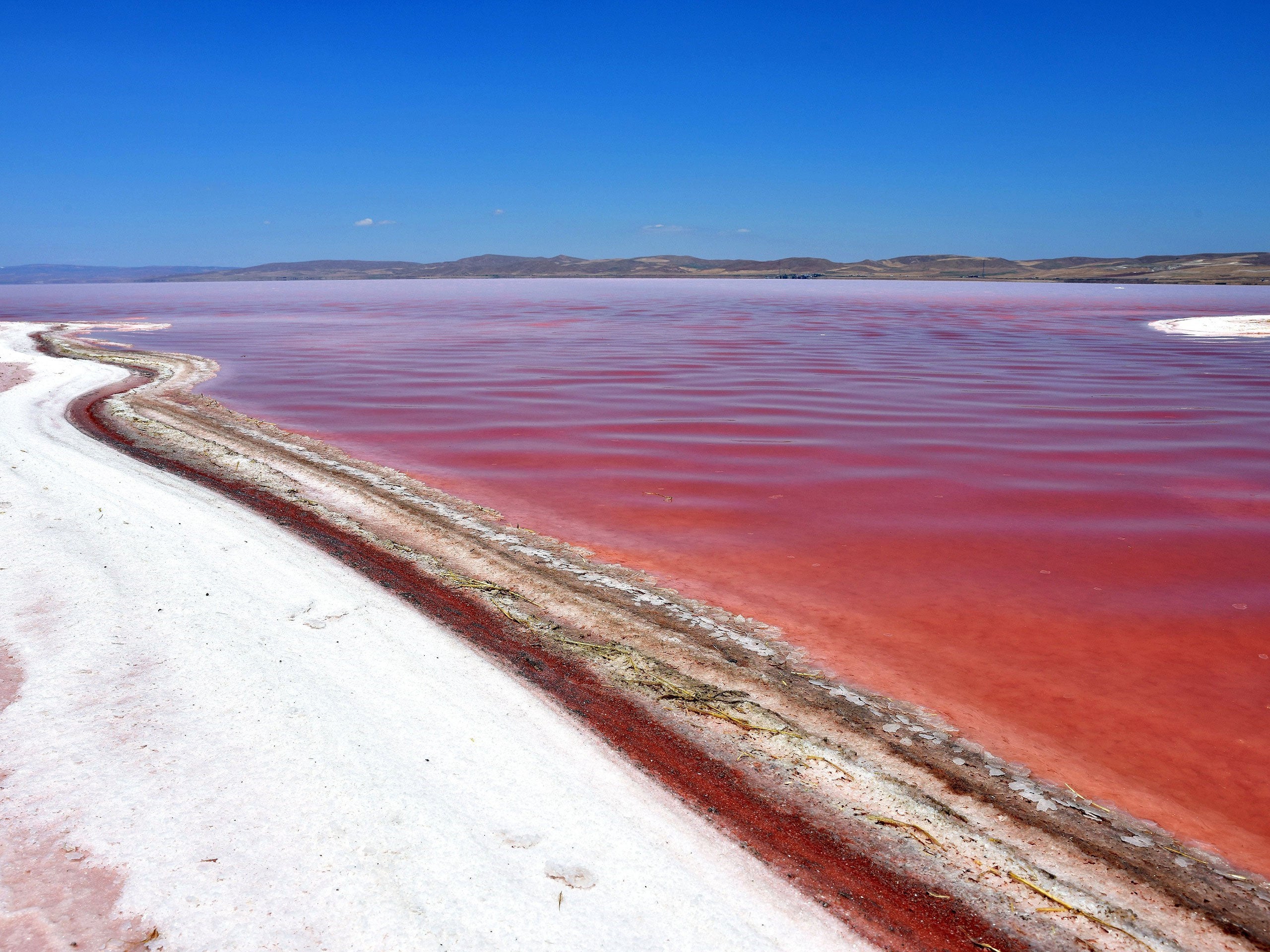 Photographer Murat Oner Tas captured the natural phenomenon at the Turkish lake