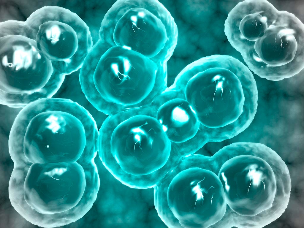 Microscopic view of chlamydia