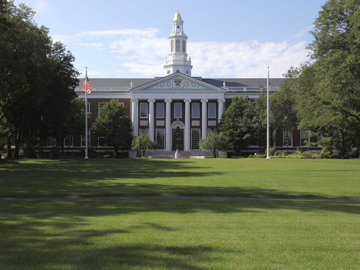 14 Things That Are Harder To Get Into Than Harvard The Independent 