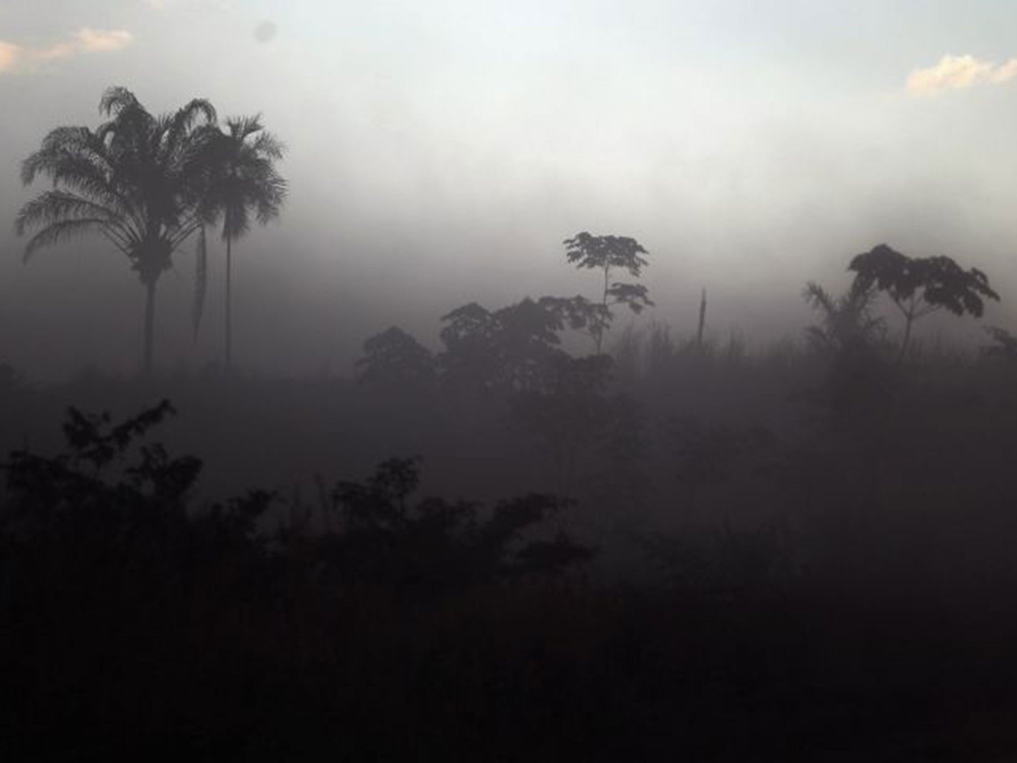 A deforested section of Amazon rainforest is seen in dust kicked up from a passing automobile (Getty)