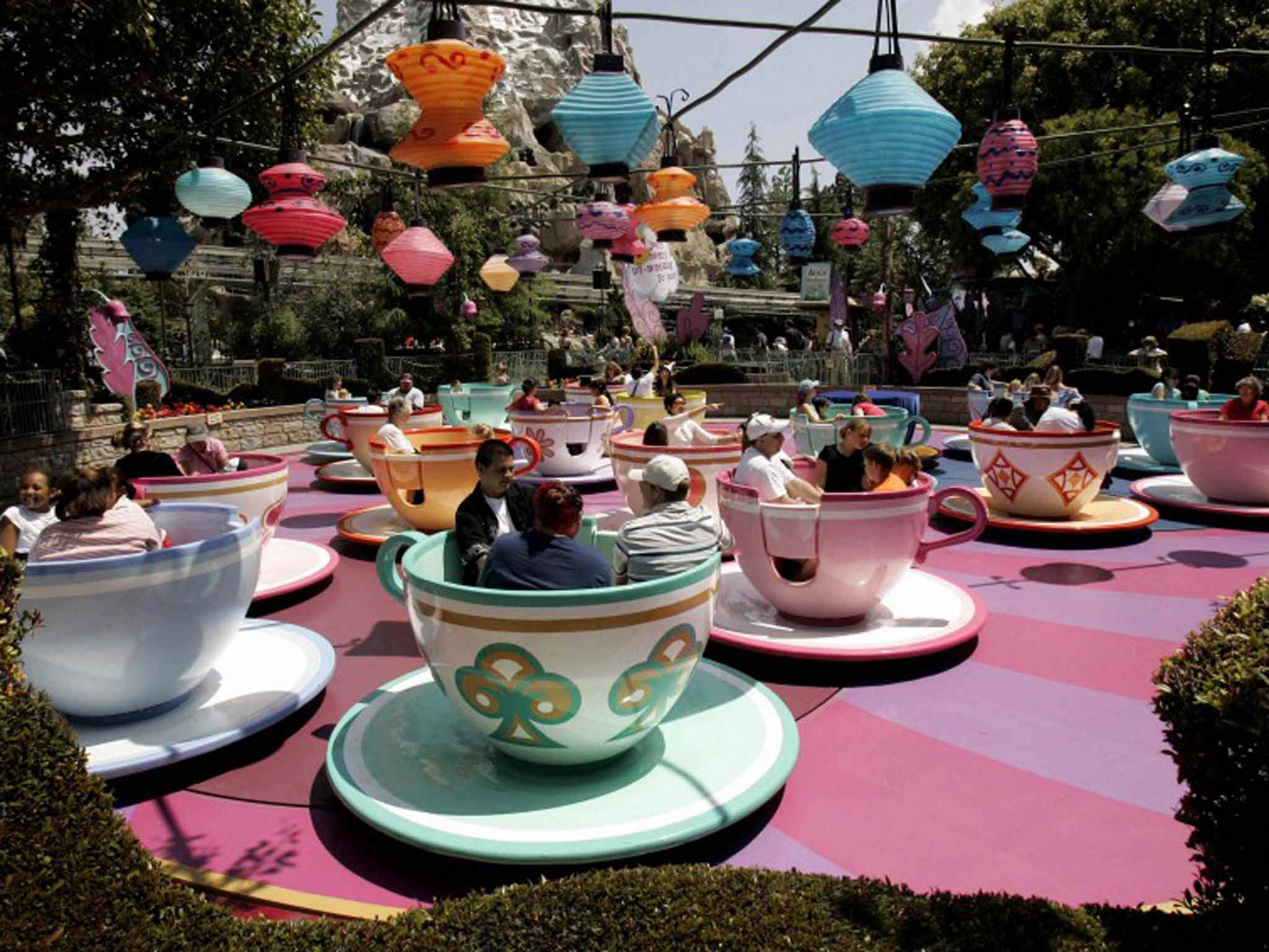 Just his cup of tea: the rides at Disneyland