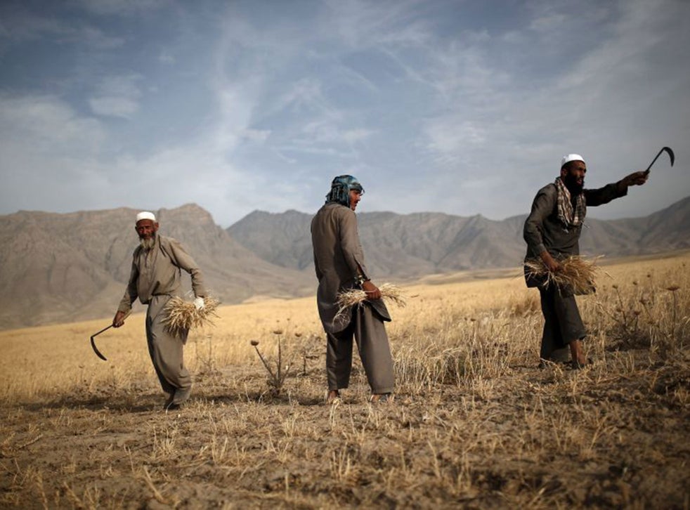 Isis in Afghanistan: The country's Taliban problem hasn't gone away ...