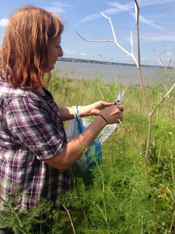 Penny Wabbit, head pastry chef at OXO restaurant, out foraging in Grays, Essex