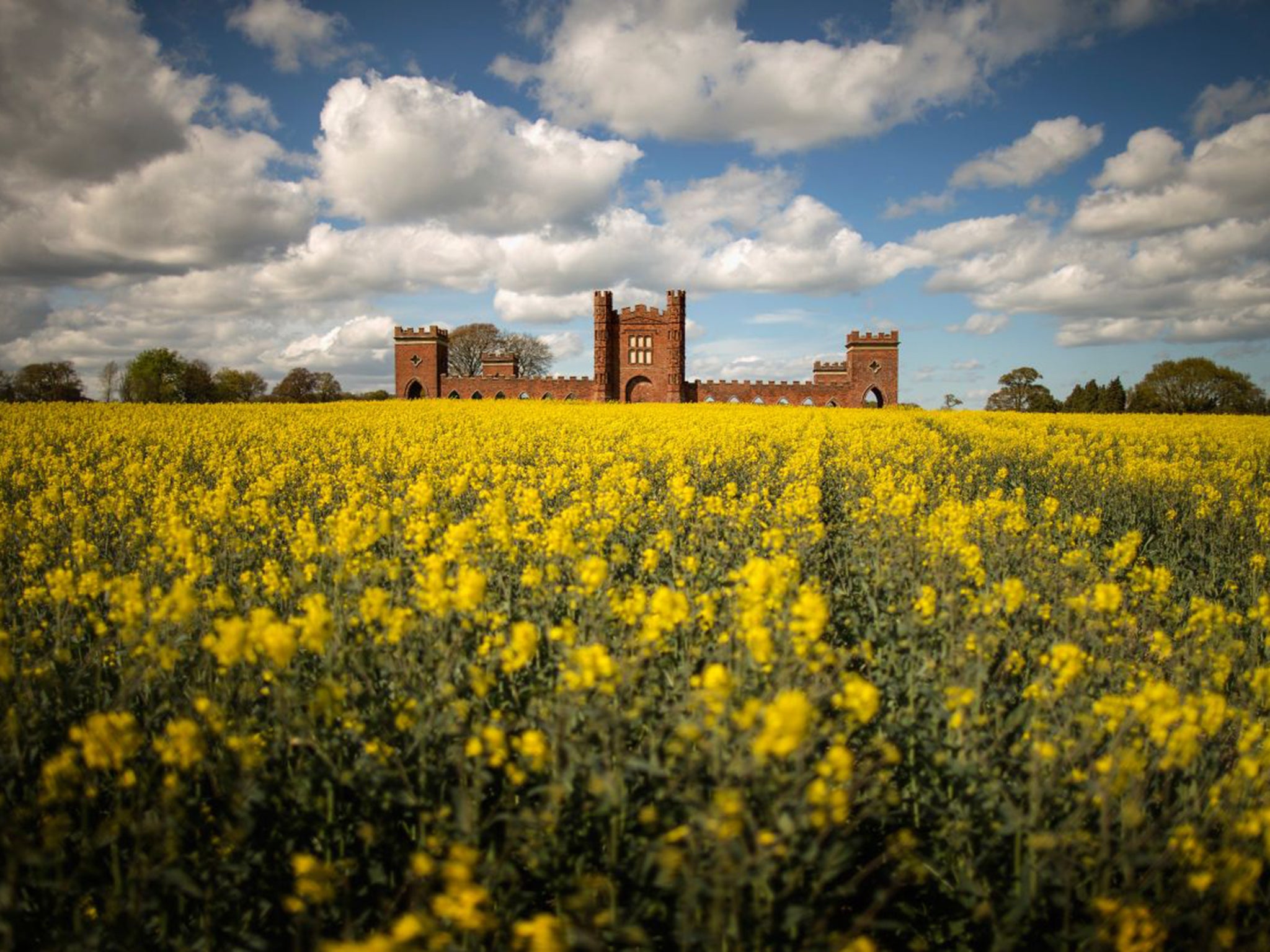 Rapeseed begins to bloom and besets Vernons Folly in Sudbury, England. An increasing pace of urbanisation and spectacular growth has taken place over the past decade in major English population hubs