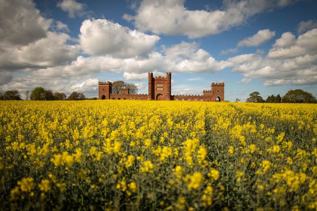 Rapeseed begins to bloom and besets Vernons Folly in Sudbury, England. An increasing pace of urbanisation and  spectacular growth has taken place over the past decade in major English population hubs