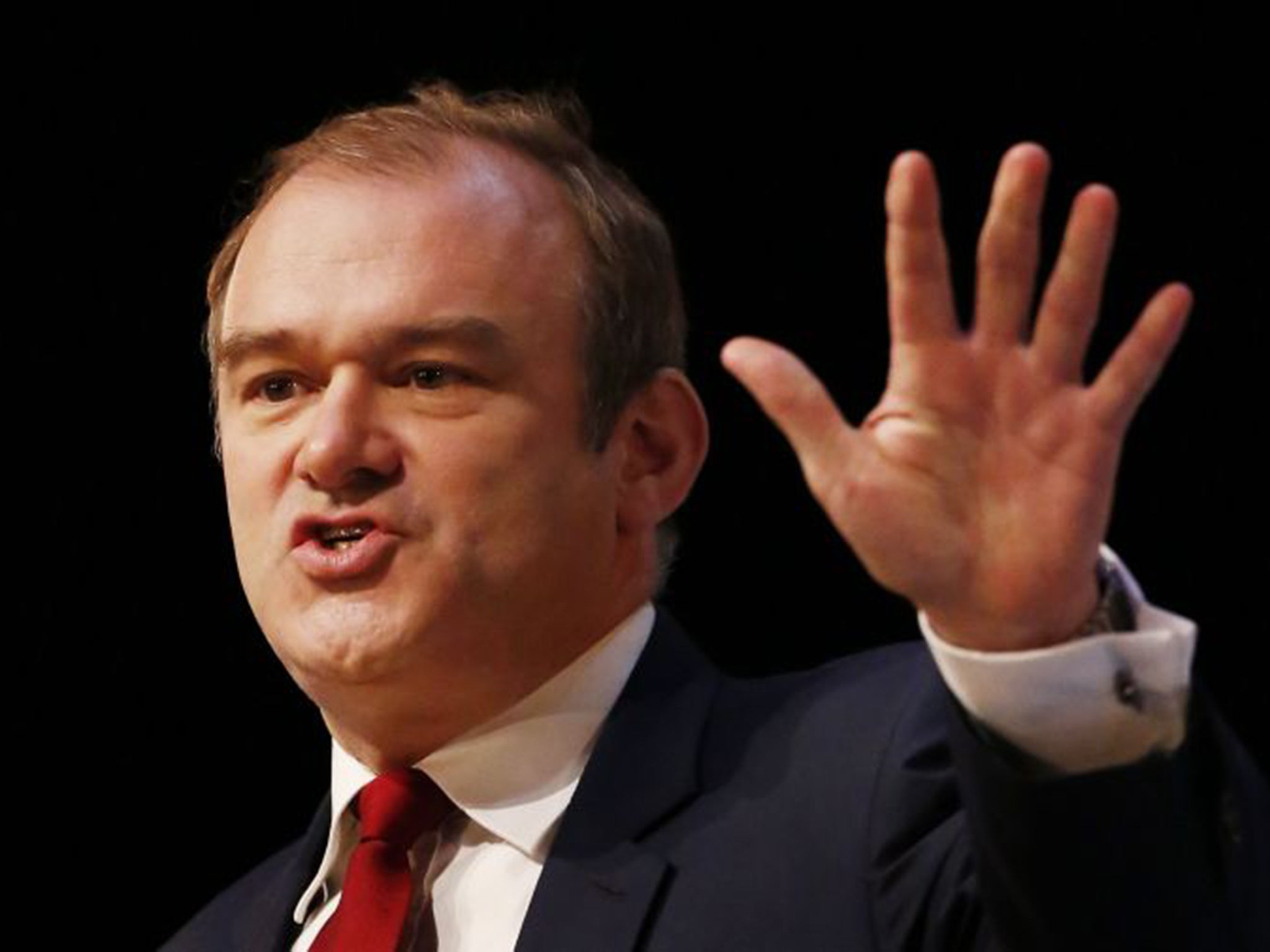 Ed Davey was energy secretary in the coalition