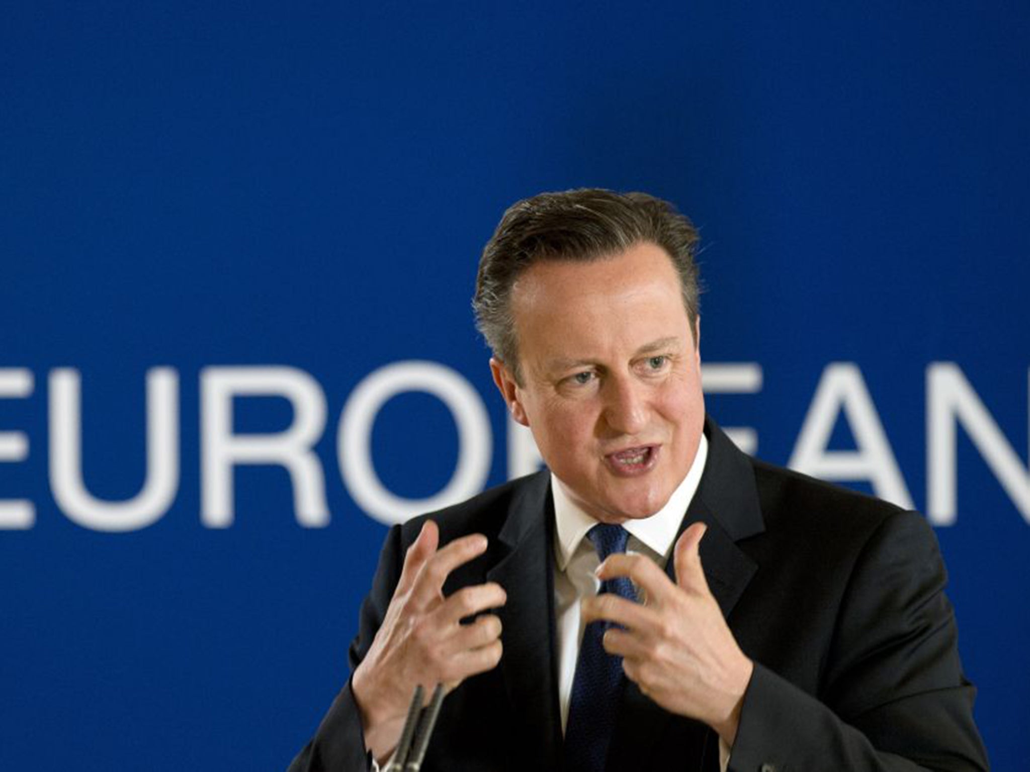 David Cameron is confident that other EU leaders want reform too