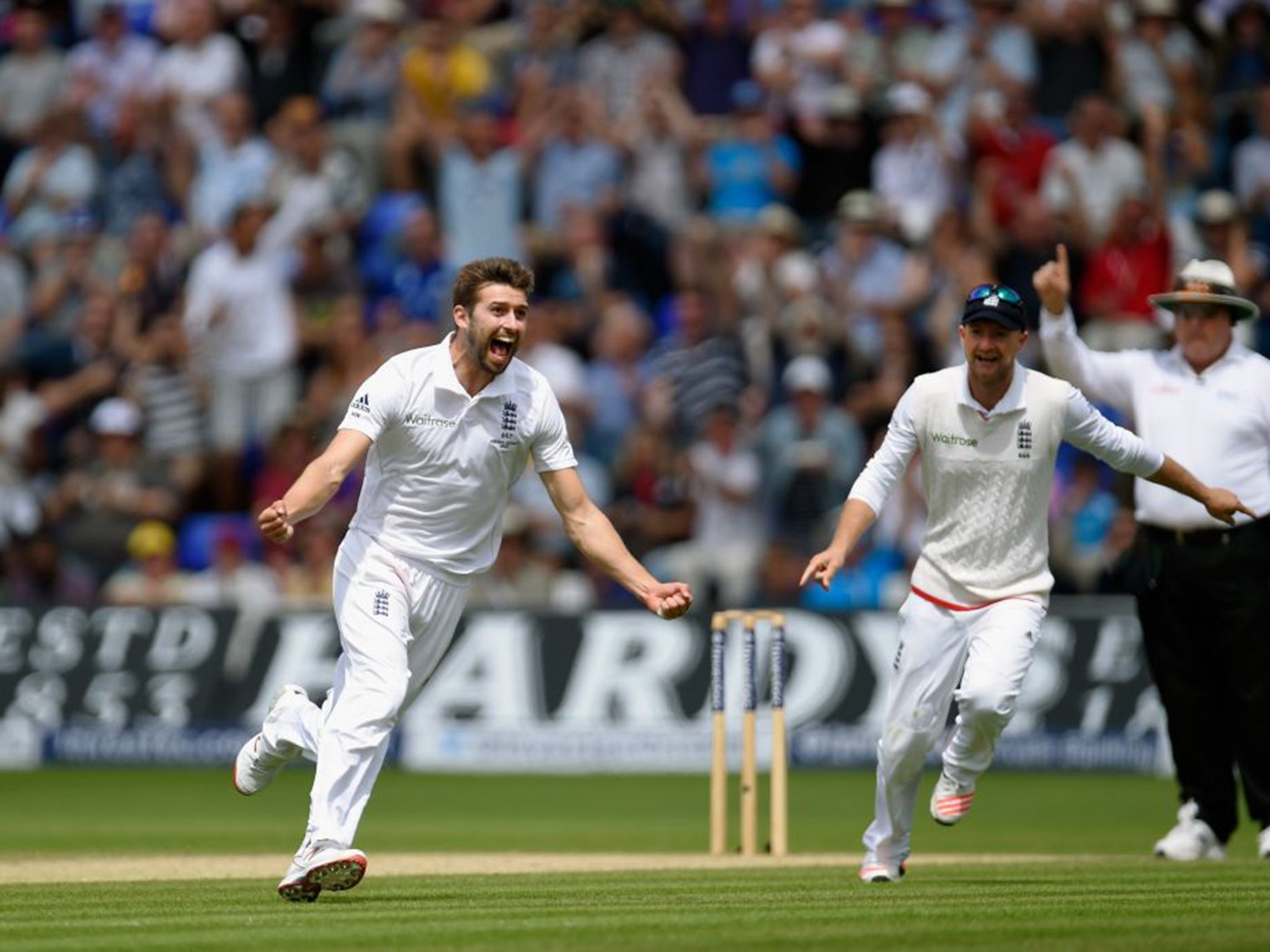 Wood celebrates taking the wicket of Adam Voges in the First Test in Cardiff