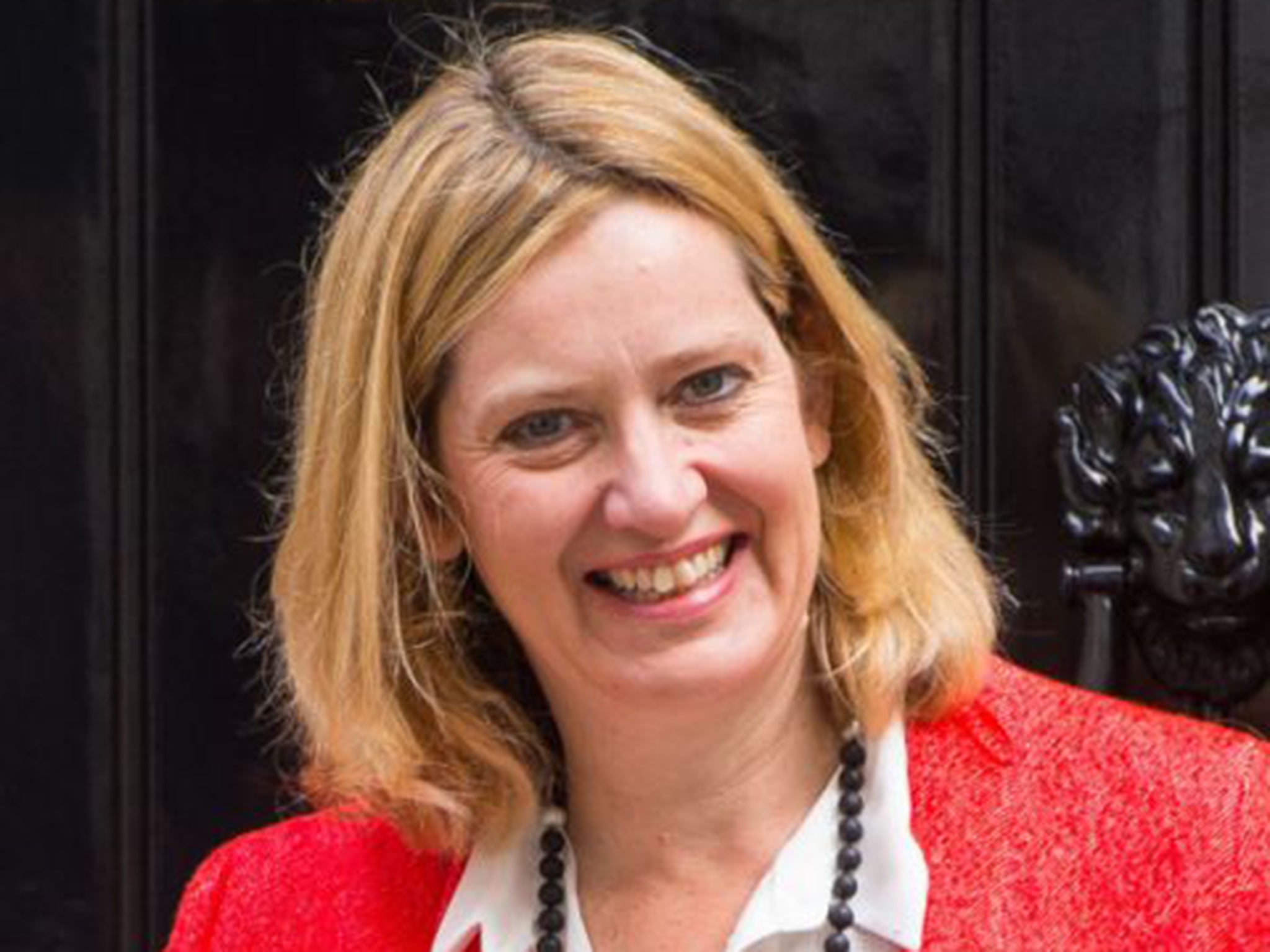 Amber Rudd was appointed as Secretary of State for Energy and Climate Change in David Cameron's new Cabinet