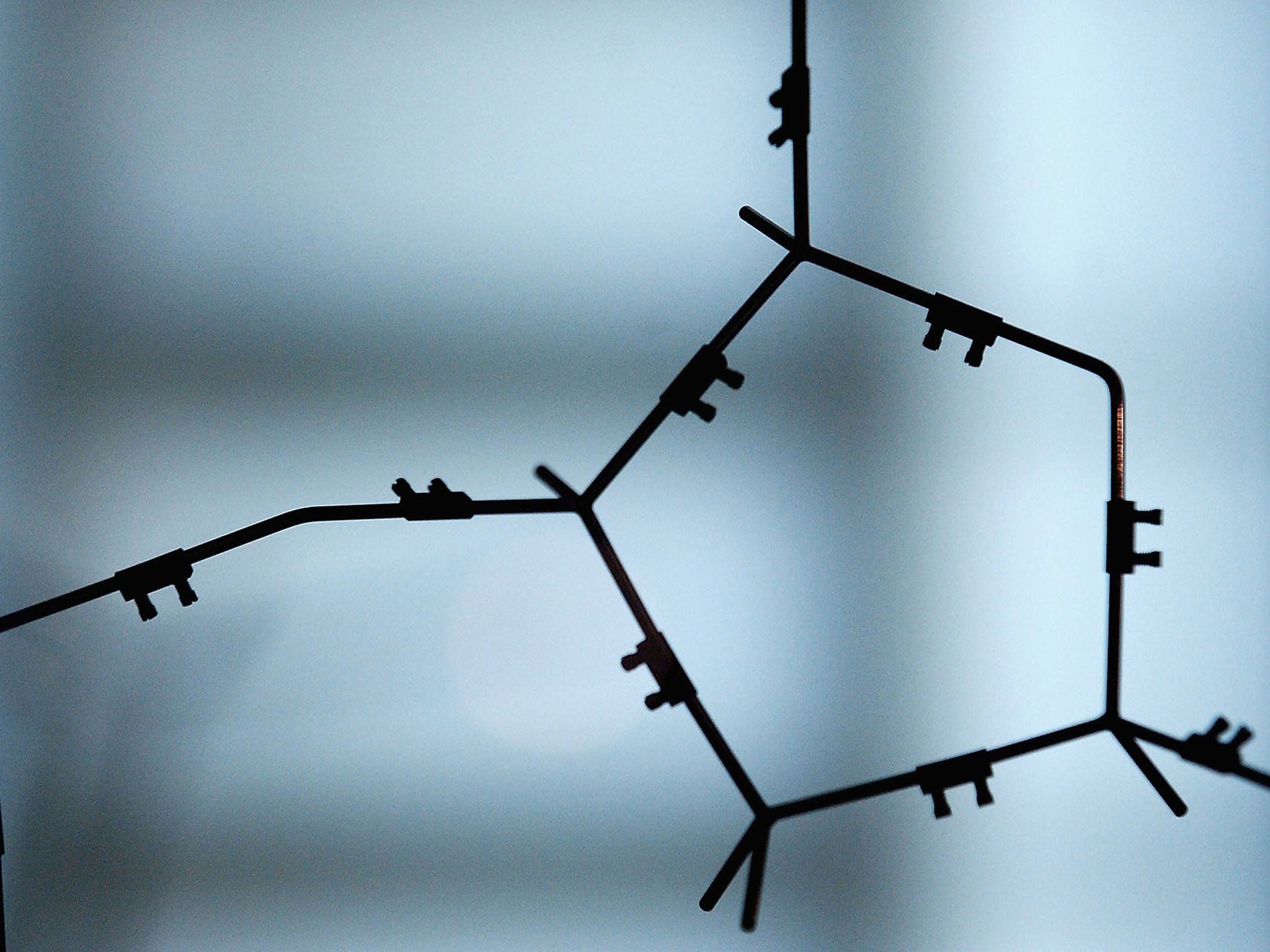 Deoxyribonucleic acid (DNA) strands from a double helix model on display at the Science Museum April 23, 2003 in London