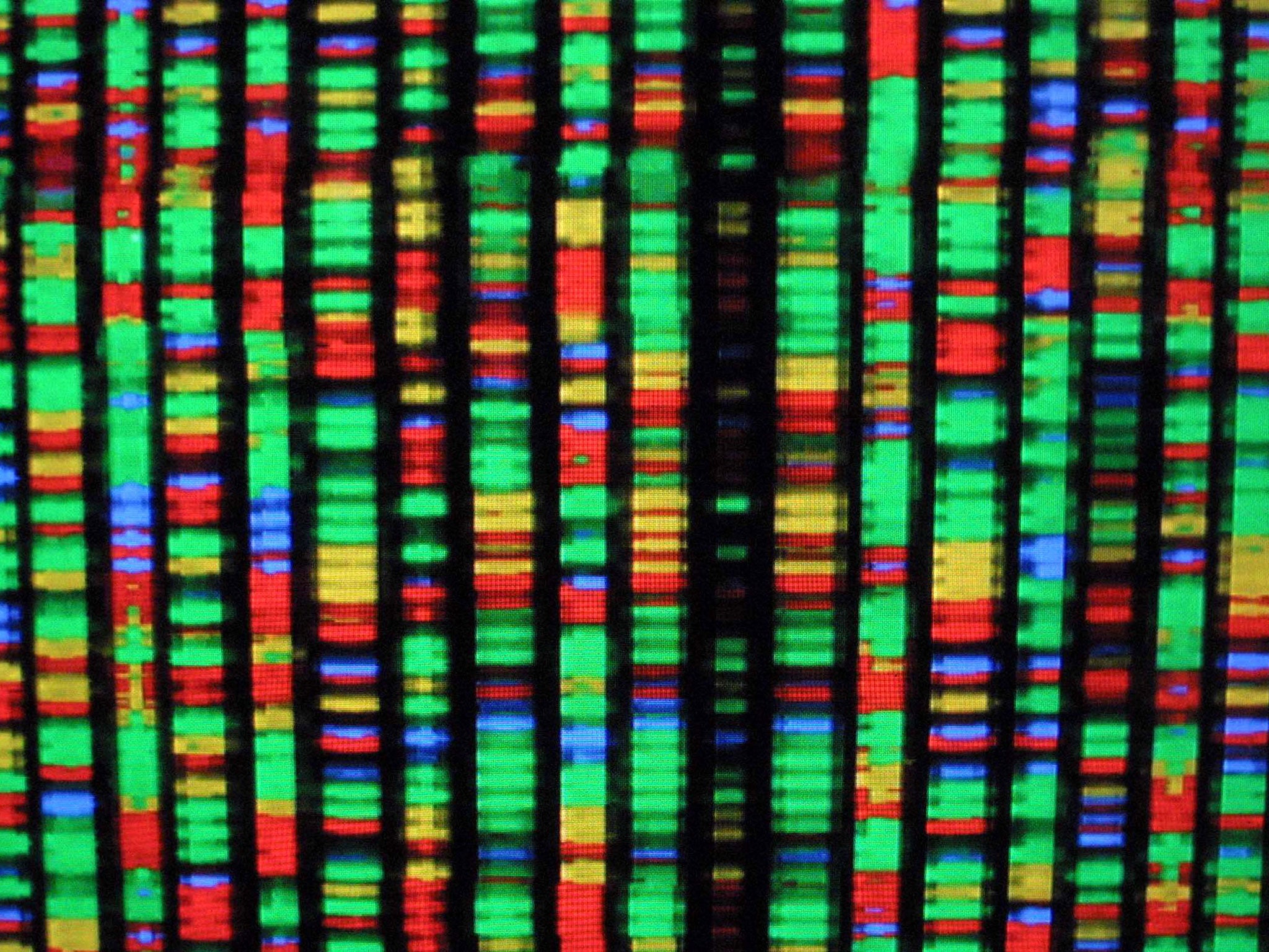 A digital representation of the human genome (Getty Images)