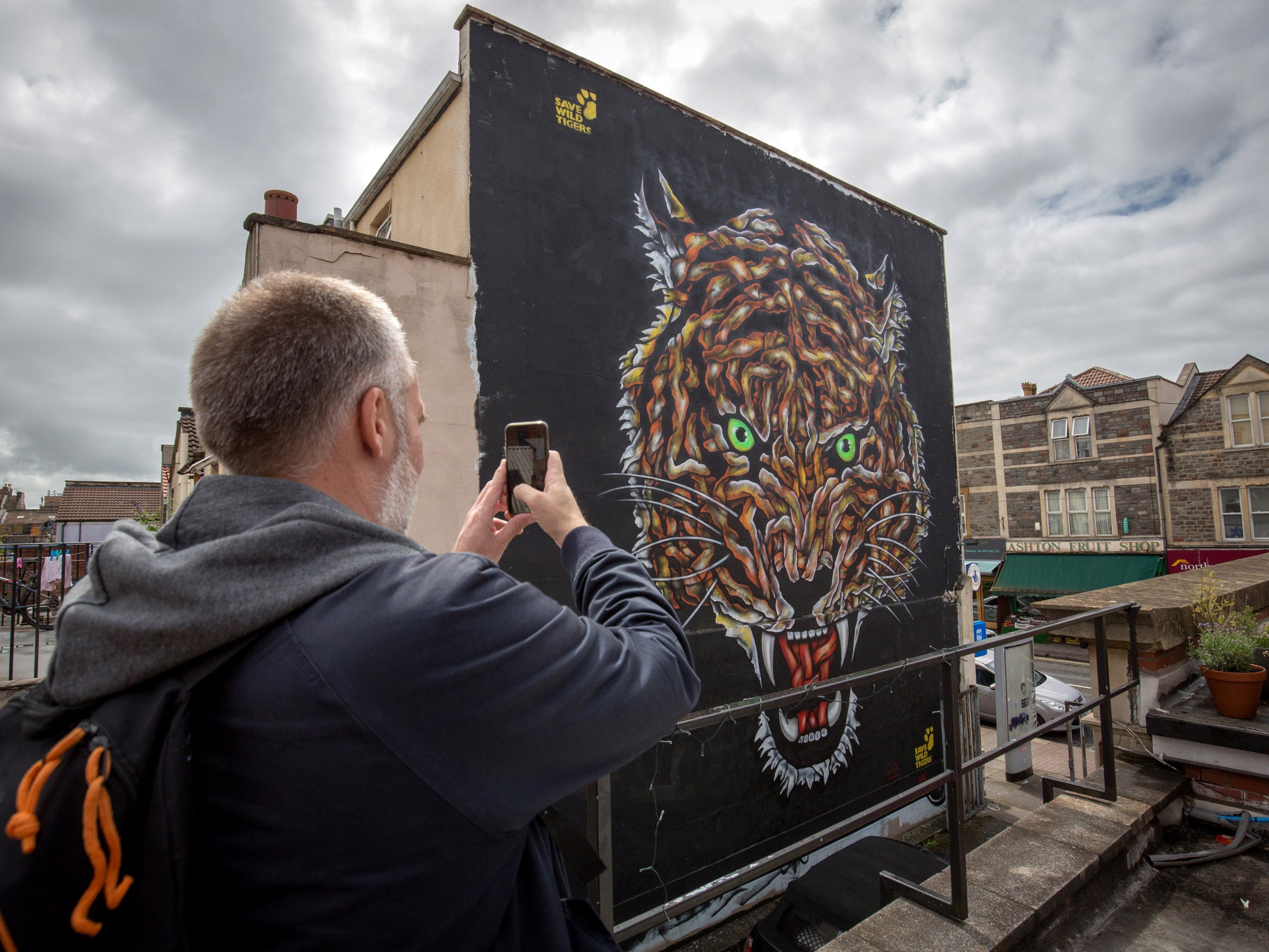Man takes photograph of large animal mural on Bedminster high street