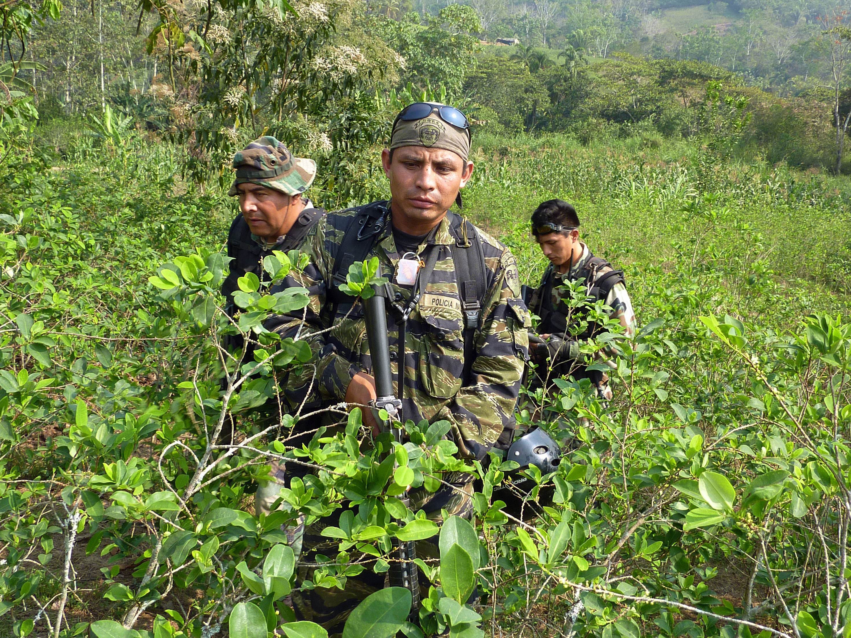 Peruvian drug enforcement policemen walk through a coca plantation in the Apurimac valley rain forest, in southeast Peru.