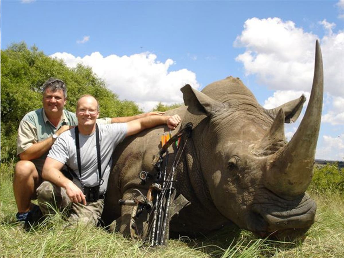 Cecil the lion death: White men go to Africa to prove their manhood – but  at a cost | The Independent | The Independent