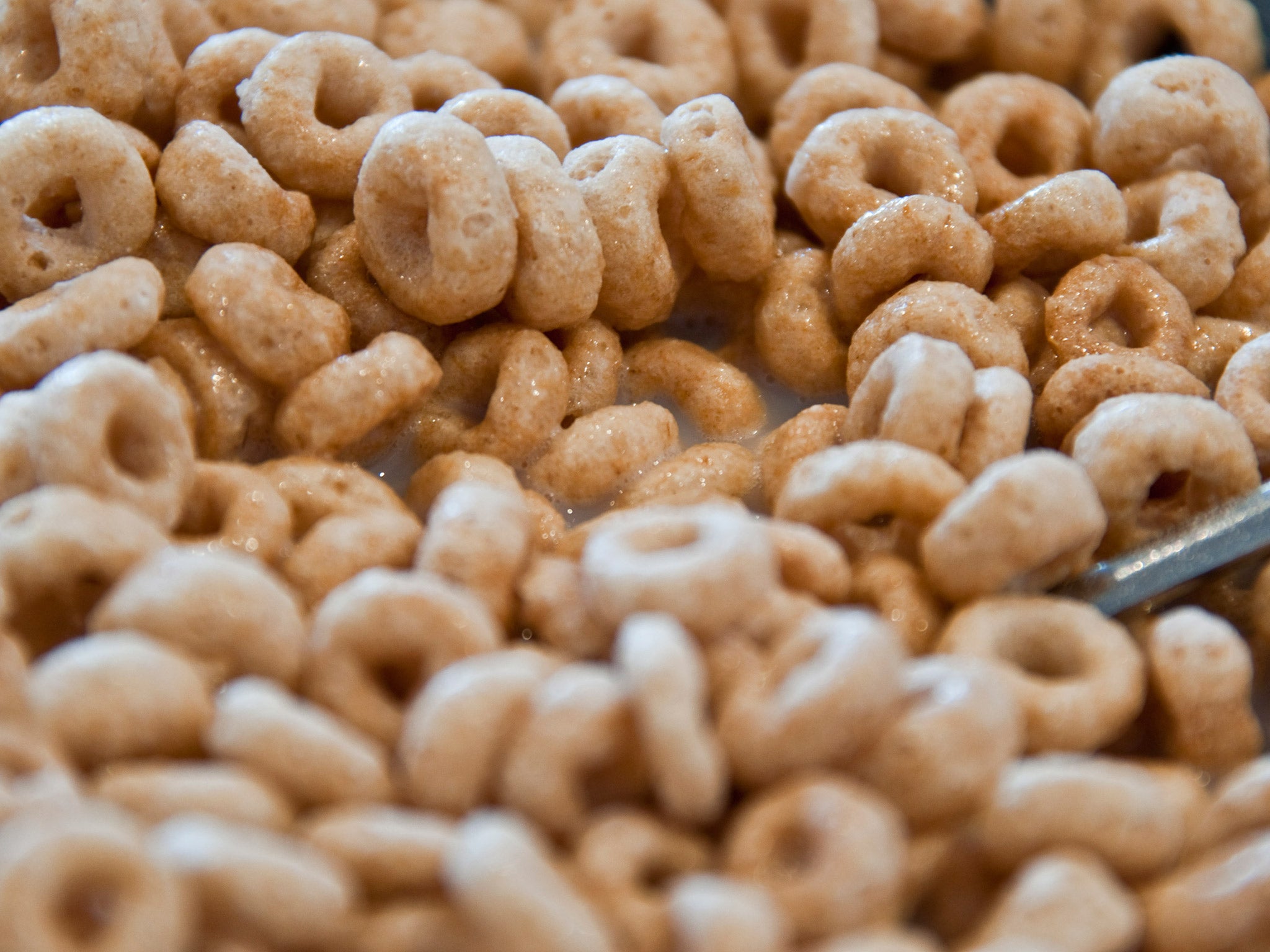 The experiments involved ants moving pieces of Cheerios breakfast cereal