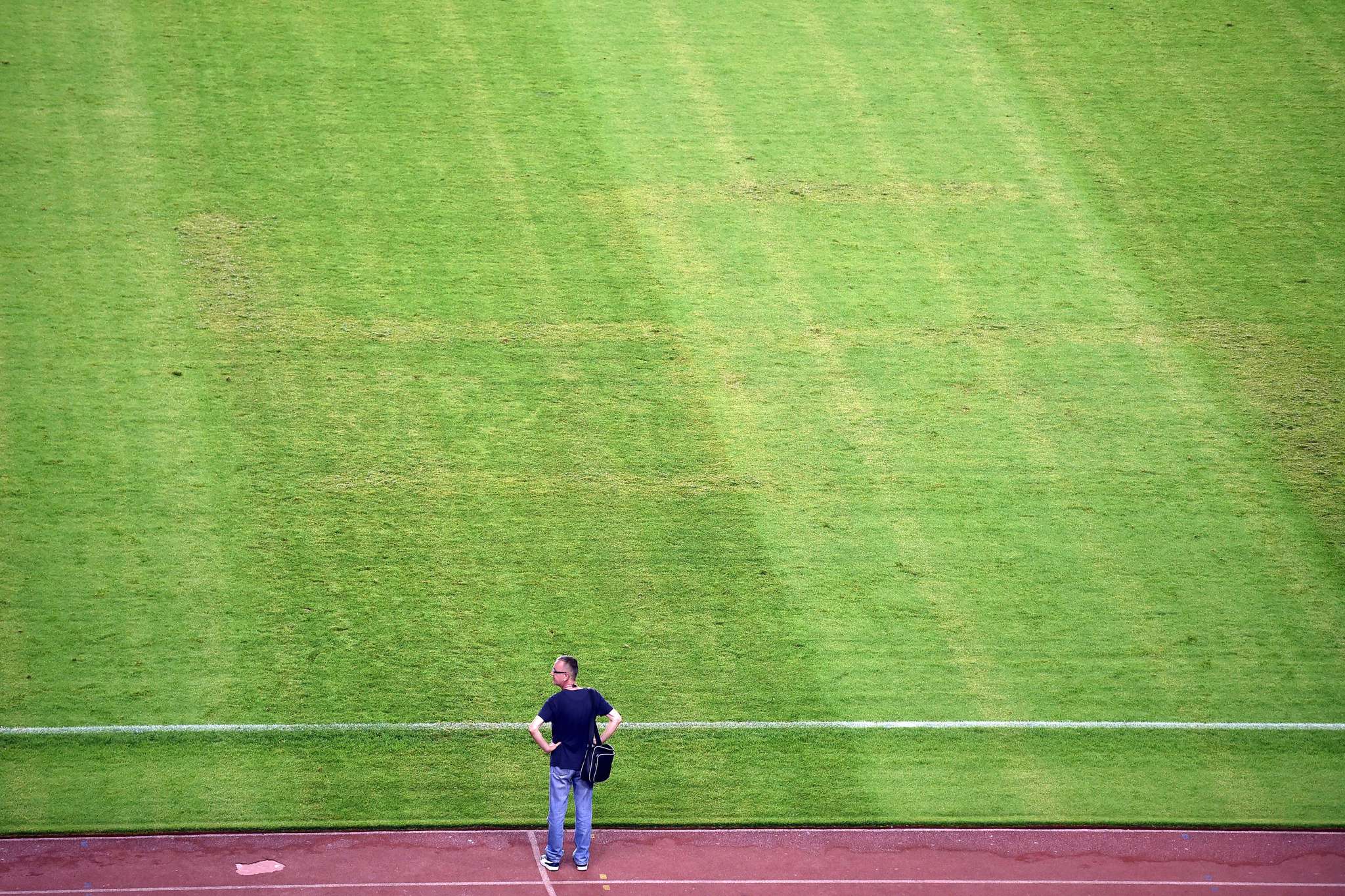 The swastika became visible after the grass was sprayed with a chemical before a match with Italy