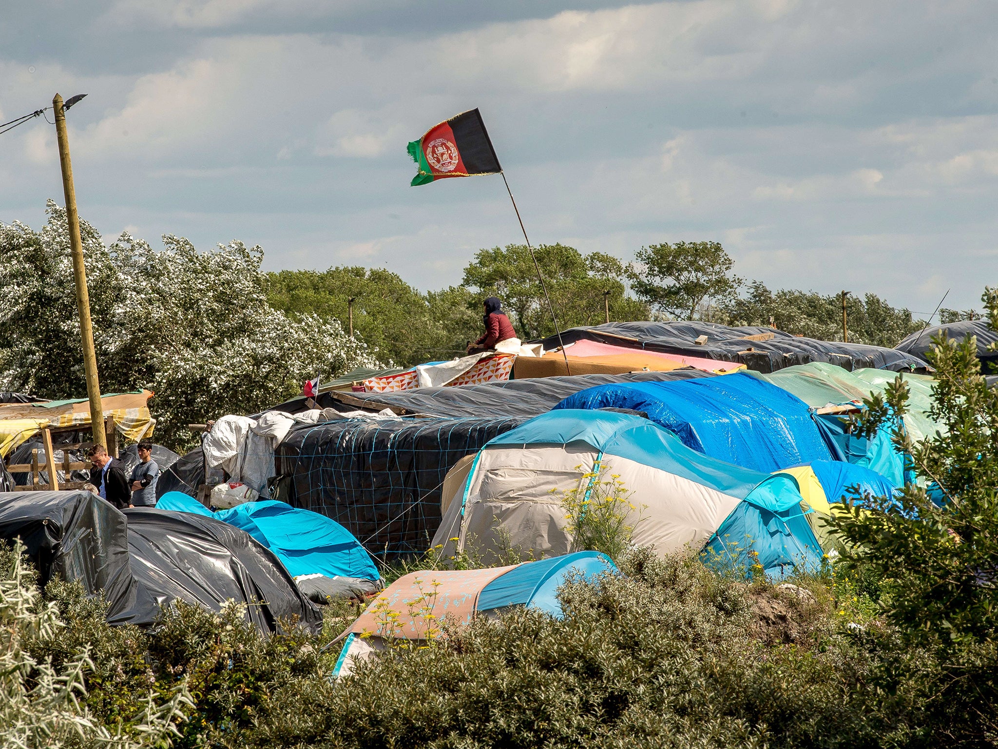 An Afghan flag flies above makeshift shelters at a site dubbed the "new jungle", where migrants trying to cross the Channel to reach Britain have camped out around the northern French port of Calais