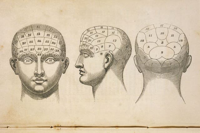 Forget me not: though phrenology located it in the forehead, the seat of memory is actually the hippocampus, deep inside the brain