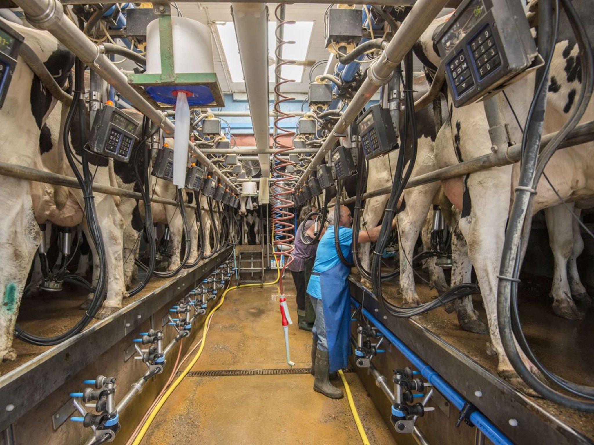 Dairy farmers face a serious threat to their future because of economic pressures