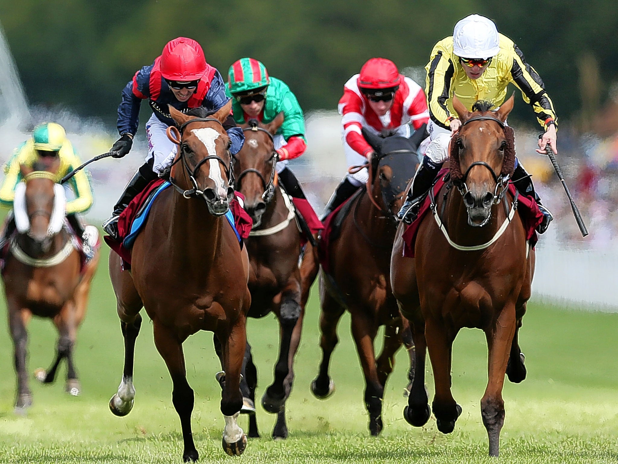 Big Orange (above right) sees off the challenge of Trip To Paris in the Goodwood Cup