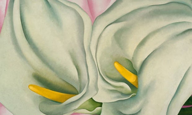 “Two Calla Lilies on Pink”, 1928 oil on canvas by the late Georgia O'Keeffe
