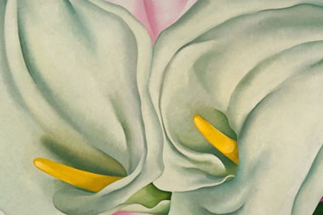 “Two Calla Lilies on Pink”, 1928 oil on canvas by the late Georgia O'Keeffe