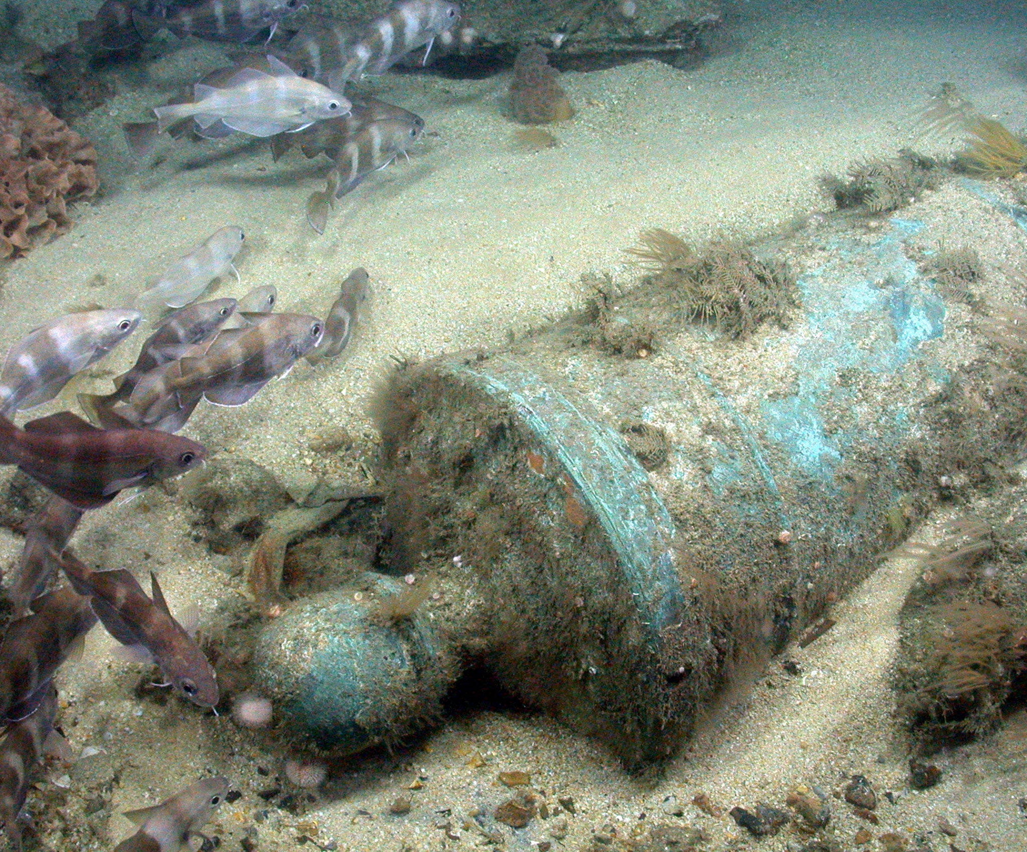 A 3.5 ton bronze cannon on the wreck of the Victory