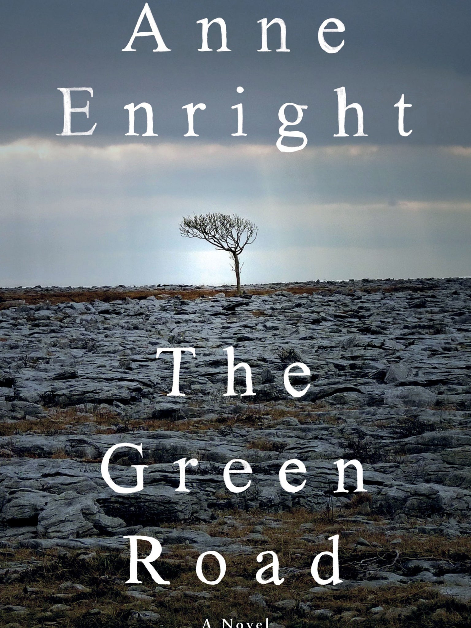 The award for the book most likely to make you blub on the beach goes to The Green Road by Anne Enright