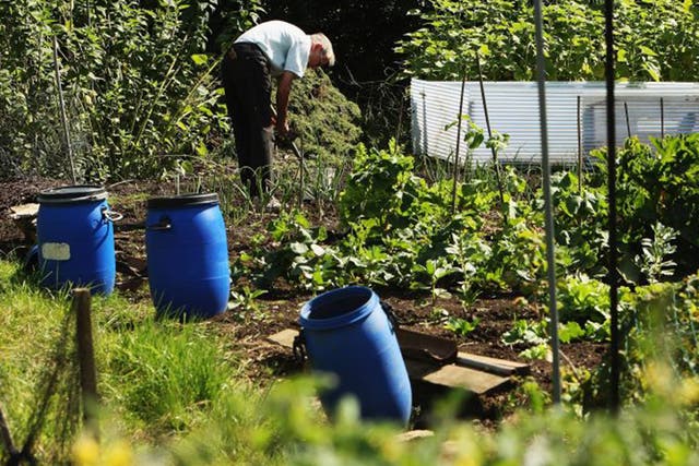 The threat to allotments amounts to the largest seizure of common land since the 18th century 