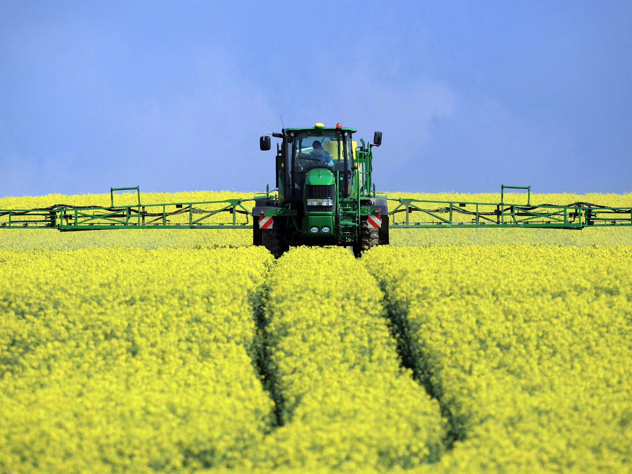 A farmer sprays a field of oilseed rape