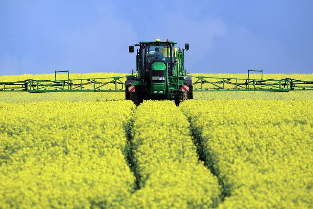 Figures for the first UK oilseed rape harvest since the ban on neonicotinoid pesticides was introduced show that the yield so far is slightly higher than the average for the previous decade