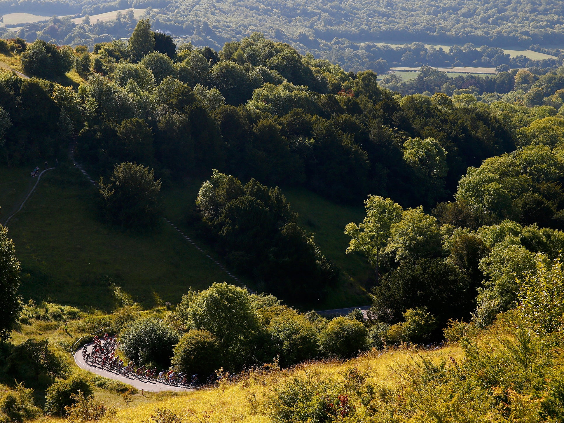 The peloton climbs Box Hill during the Prudential RideLondon Surrey Classic, a 200km route through London and Surrey