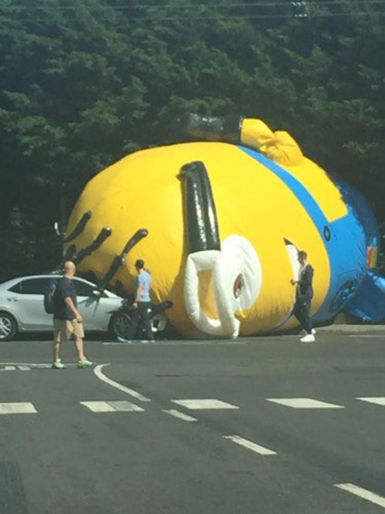 The Minion lies in the road