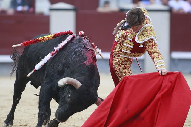 No bull: a recent poll found that less than a third of Spanish people support bullfighting