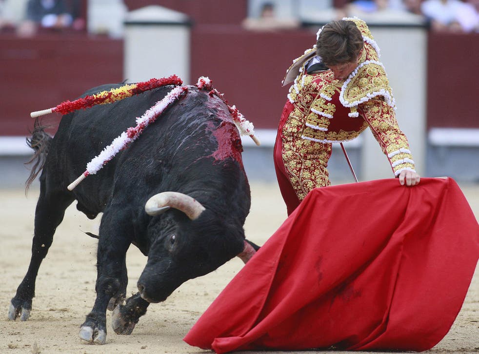 Spanish bullfighting could be forced out of major cities as leftwing