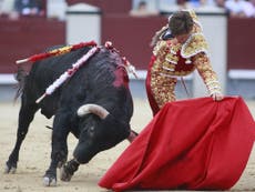 Spanish bullfighting could be forced out of major cities