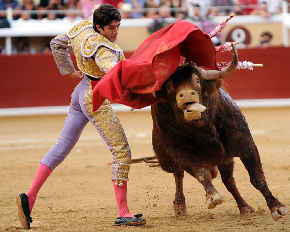 Spains Top Court Overturns Bullfighting Ban In Catalonia The