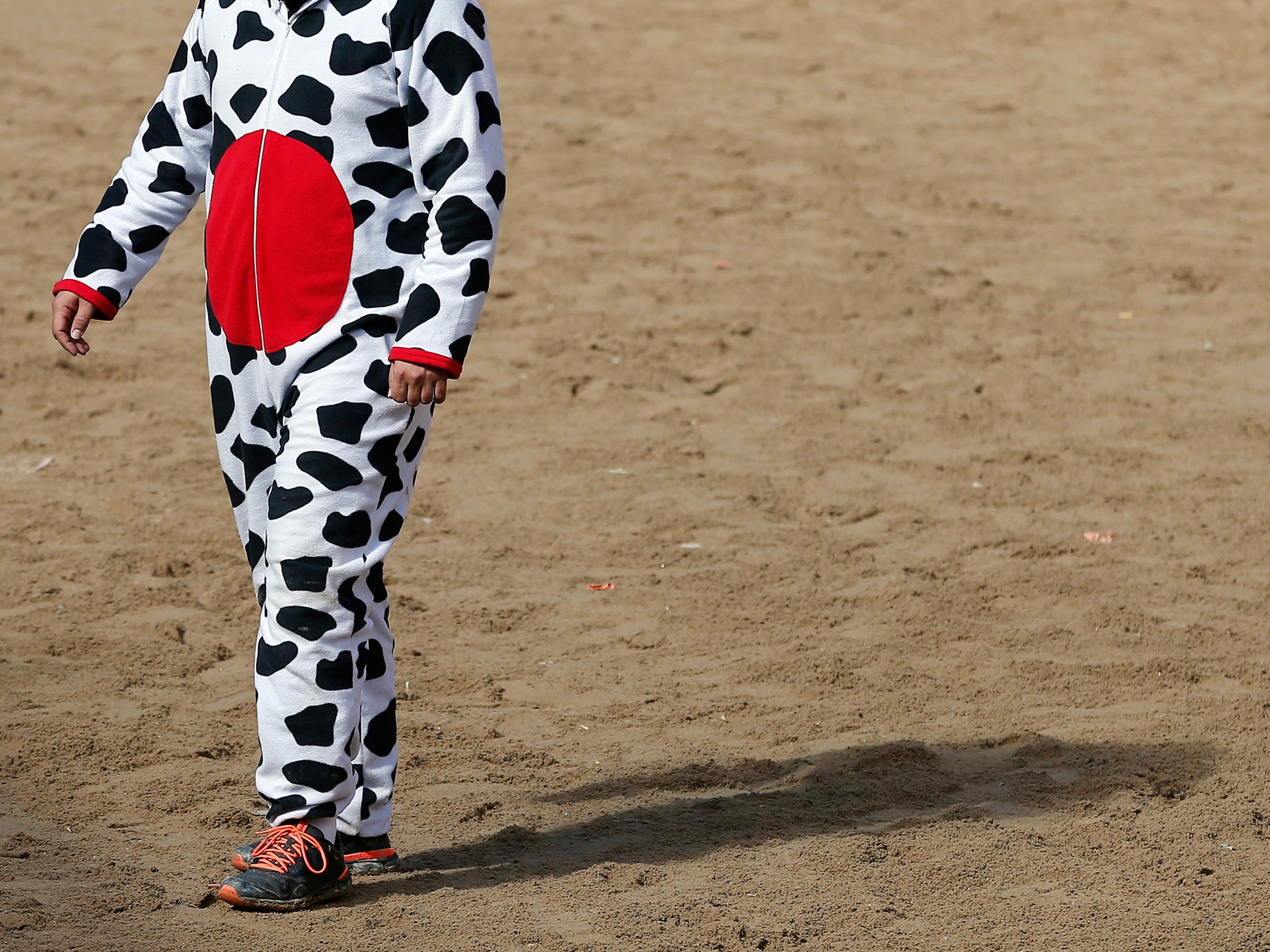 The woman was distinctively dressed in a cow onesie and accompanied by two men